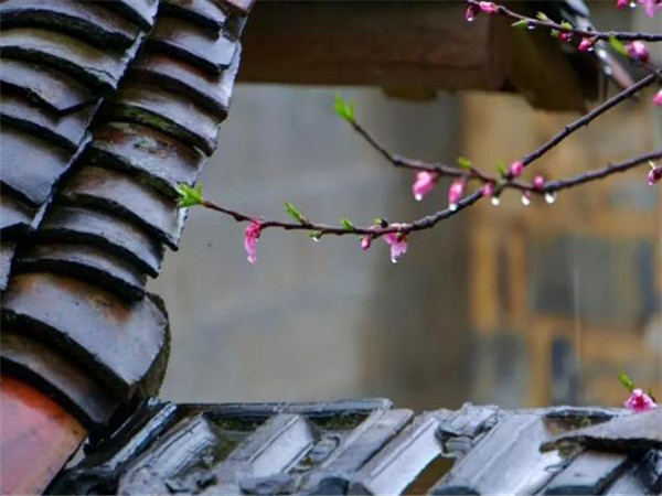 仿古青瓦，青瓦廠家